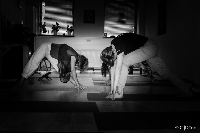 yoga-3.jpg